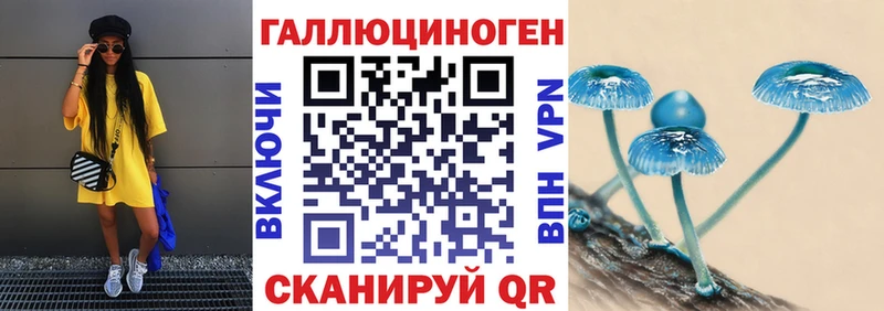 Псилоцибиновые грибы Psilocybine cubensis  Куса 